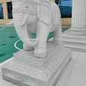 随州 白麻花岗岩动物异形石雕-大象