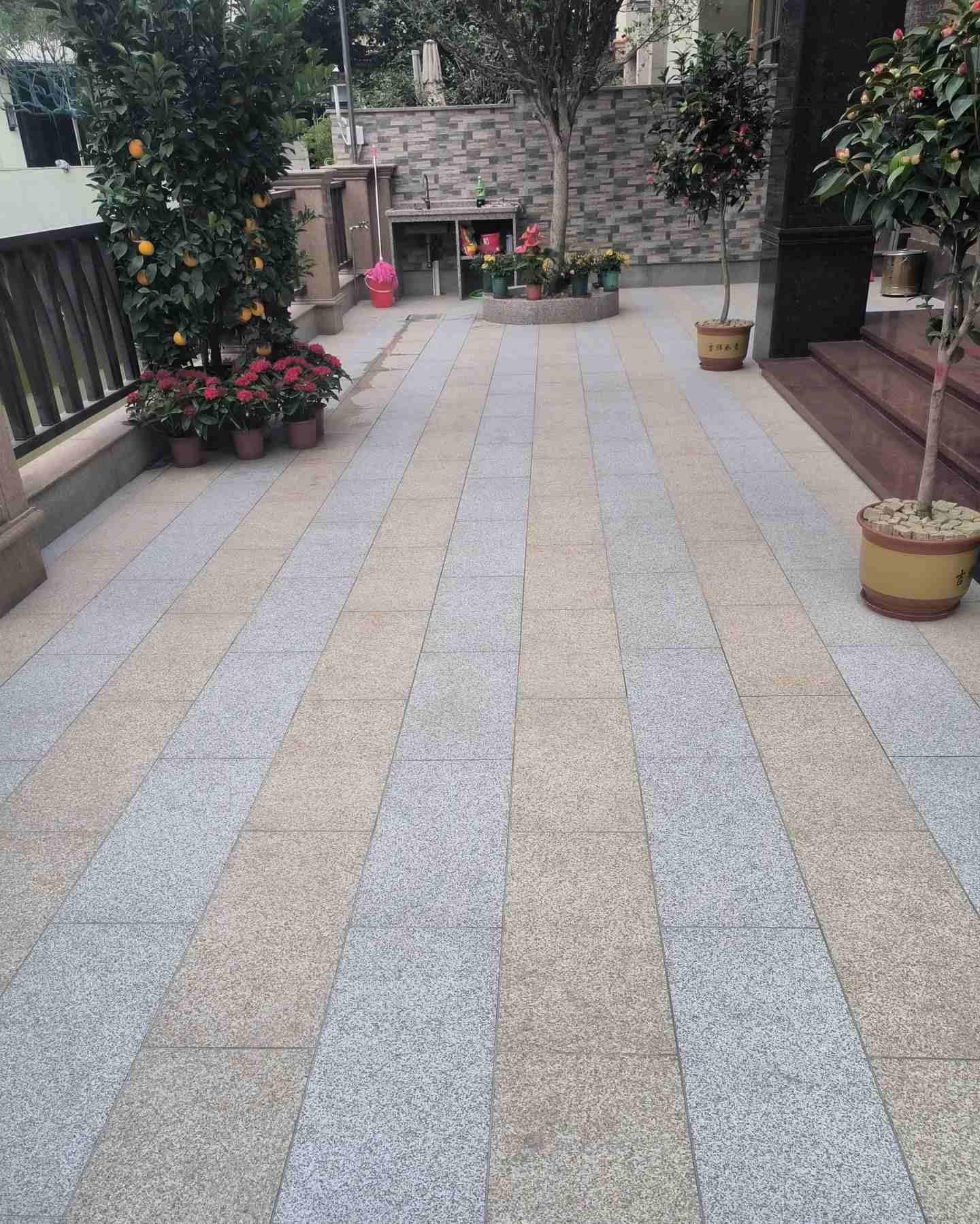 随州 黄金麻白麻荔枝面庭院铺装展示